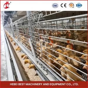 Quality 90-200 Chickens Capacity Automatic Chicken Cage System Rose wholesale