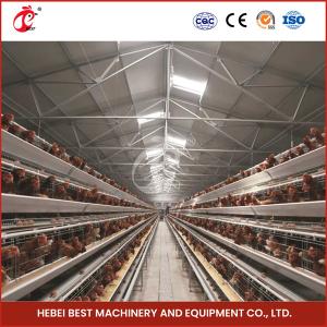 Quality A Type Full Automatic Chicken Cage Equipment For 20,000 Capacity Poultry Farm Sandy wholesale