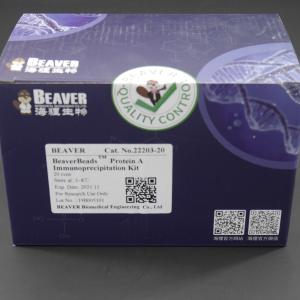 Quality 10 mg / mL Protein A/G Magnetic Beads For Immunoprecipitation 20 Reactions wholesale