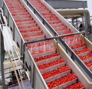 Quality Turnkey Project Tomato Paste/Sauce Production Line wholesale