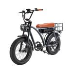 Electric Fat Bike 500W 750W Super Nice 73 Electric Bike with 48V 18AH Lithium