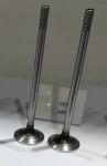 Durable Intake Exhaust Valves Compatible With DT466