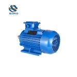 IE2 160m-4-11kw 15 HP Three Phase Motor 380V 50Hz 60Hz IP55 Class F Electric