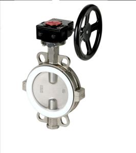 Quality ductile iron stainless steel wcb pn10 16 chinese anti-corrosion Split body butterfly valve wholesale