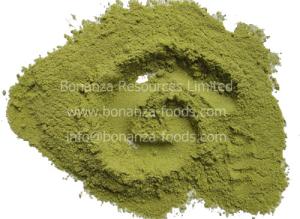 Quality Factory supply Freeze Dried Green Bell Pepper Powder wholesale