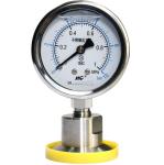 YNTP-60BF Stainless Steel Pressure Gauge