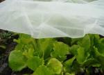 Plastic Fiberglass Wire Mesh 20 X2 0mm Size For Air Flow Insect Protection