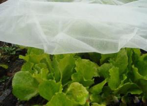 Quality Plastic Fiberglass Wire Mesh 20 X2 0mm Size For Air Flow Insect Protection wholesale