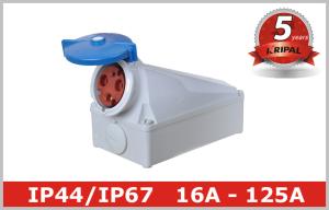 Quality 16A 32A 63A 125 Amp Wall mounted Industrial Socket Outlets Appliance Inlet wholesale