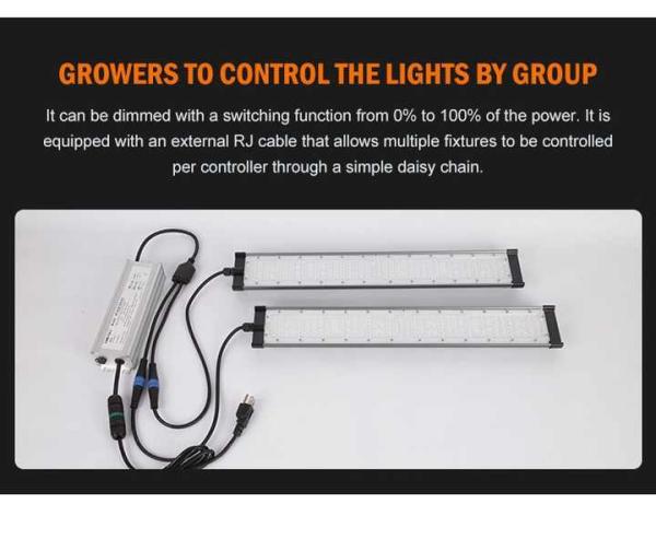 Hlg Quantum Board LED Grow Lights LED Grow Light Quantum Board 200w LED Grow