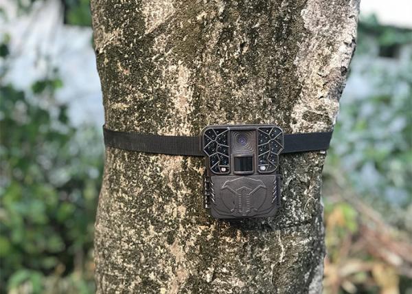 Motion Activated Night Vision Hunting Camera Wildlife Infrared Surveillance