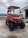 Enhanced Visibility 2 Seater Golf Cart With Striking LED Lights