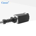 NEMA 8 Non Captive DC Stepper Motor 38mm Body Tr5×2 for Beauty Equipment