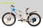Full Suspension Electric Mountain Bicycles 250W 36V 65km 6 Speed