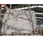 Polished Arabescato White Italian Marble Slab for Modern Wall and Round Dining