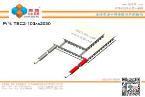 Quality TEC2-103 Series (Cold 20x20mm + Hot 30x30mm) Peltier Chip/Peltier Module/Thermoelectric Chip/TEC/Cooler wholesale