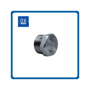 Quality stainless steel outer hex thread Hexagon Socket Pipe oil Plug wholesale