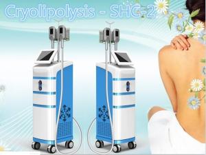 Quality cryolipolysis Professional fat freezing machine / cryo machine wholesale