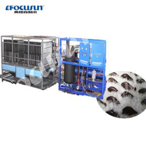 Quality Stainless Steel/Galvanized Steel Material 20 000kg Plate Ice Making Plant for Industrial wholesale