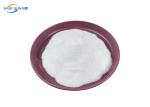 Heat Transfer Polyester PES Powder Hot Melt Adhesive Glue Powder