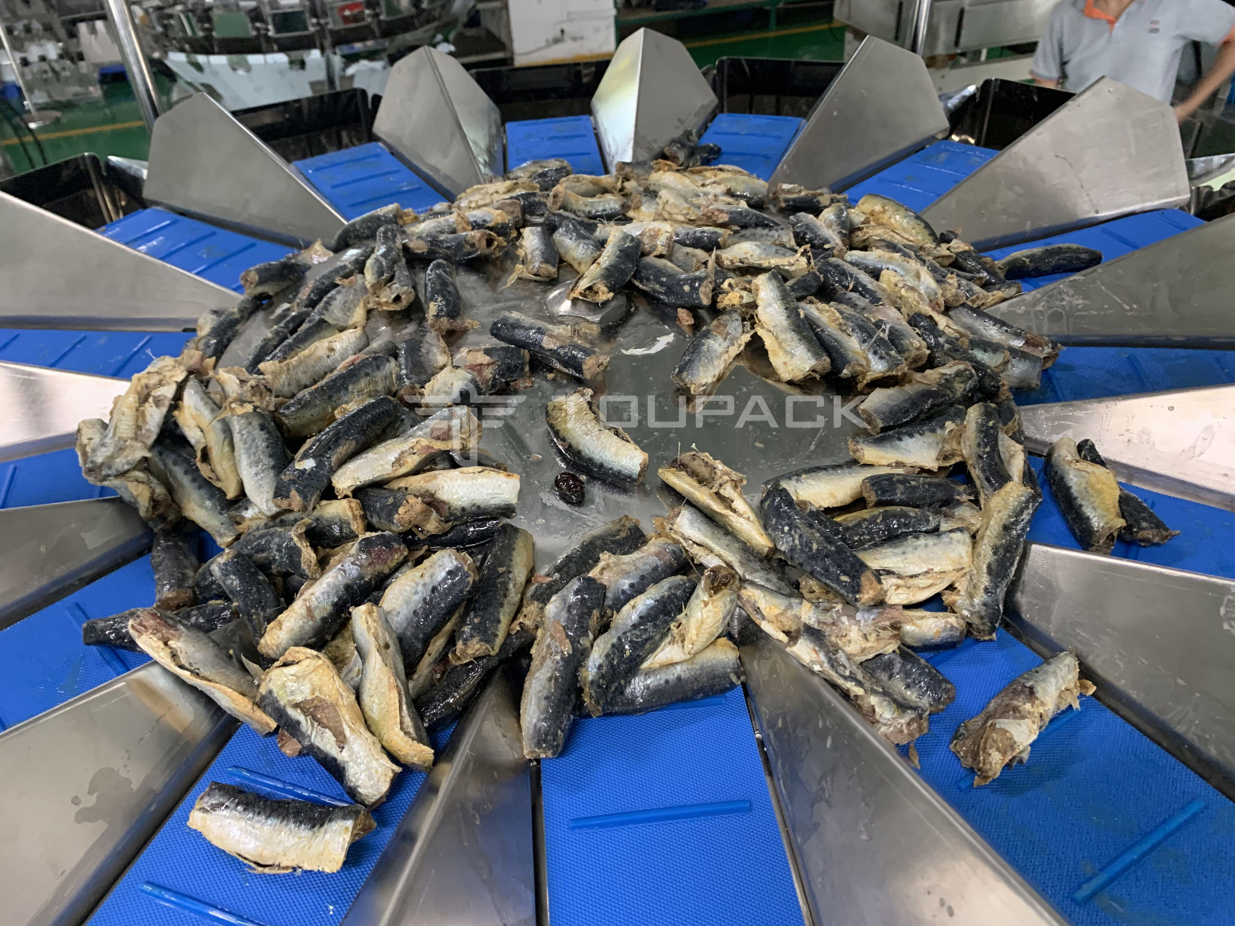 Waterproof Automatic Multihead Weigher Weight 1kg Seafood Frozen Fish Packing Machine