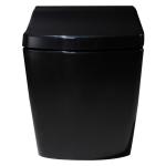 Full Black Intelligent One Piece Toilet Warm Water Washing