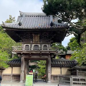 Quality 10mm Thick Japanese Roof Tiles Temple Matt Unglazed Traditional wholesale