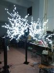 led trees outdoor