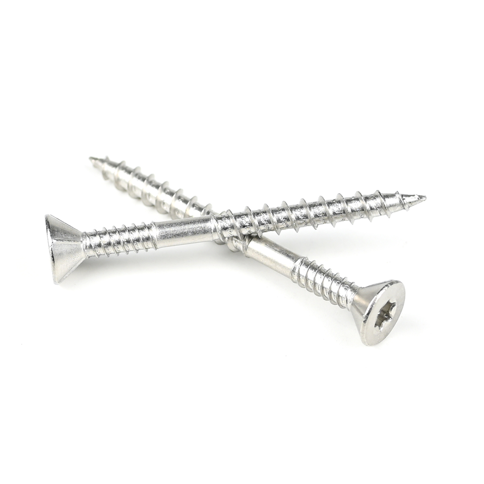 Stainless Steel Torx Double Thread Gypsum Plasterboard Screw with Pozidriv Drive Type