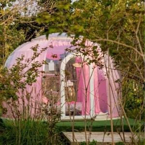 Quality New Fast Installation Transparent Cabin Homes Prefab Sound Proof Dome Home wholesale