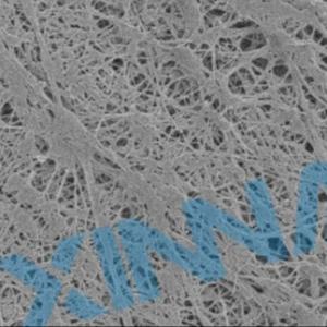 Quality Medical 0.45μm PTFE Membrane Hydrophobic For Infusion Filter Air Venting wholesale