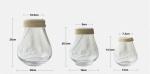 Simple Modern Clear Glass and Rope Glass Vase