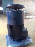 NEMA Vertical Hollow Shaft Motor IP54 380V 660V 3 Phase 50HZ 1450rpm 75kw VHS