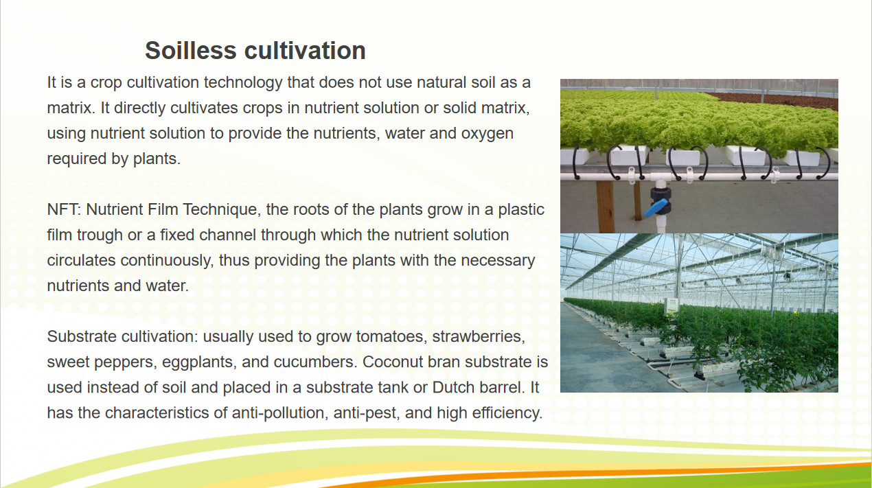 Commercial Multi Span Greenhouse Plastic Film Greenhouse For Vegetable Growing