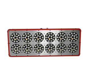 Quality 2016 Indoor plant growing light 540w lastest hydroponics growth system grow light 180*3w wholesale