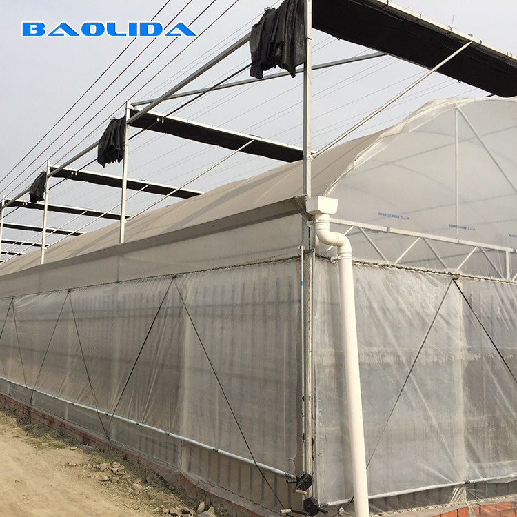 Seedbed Nursery Multi Span Tunnel Plastic Greenhouse For Strawberry Planting