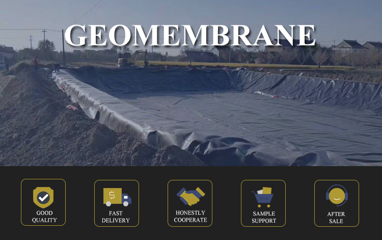 1mm 1.5mm HDPE Geomembrane Liner for Shrimp Pond Aquafarm After-sale Service Included