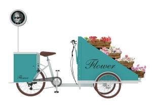 Quality Commercial Electric Food Vending Tricycles Fashion Appearance CE Approval wholesale