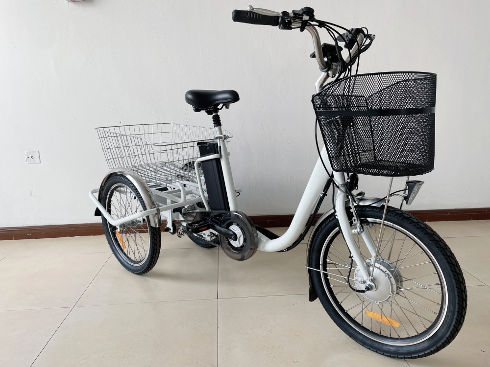 36V 250W 350W Adult Folding Electric Trike 20 Inch Electric 3 Wheel Cargo Bike