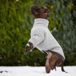 100% Polyester Raglan Puppy Dog Sweaters For French Bulldogs