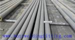 Stainless Stee ERW TP316L 304 Welded Round Stainless Steel Tube Polished Hot