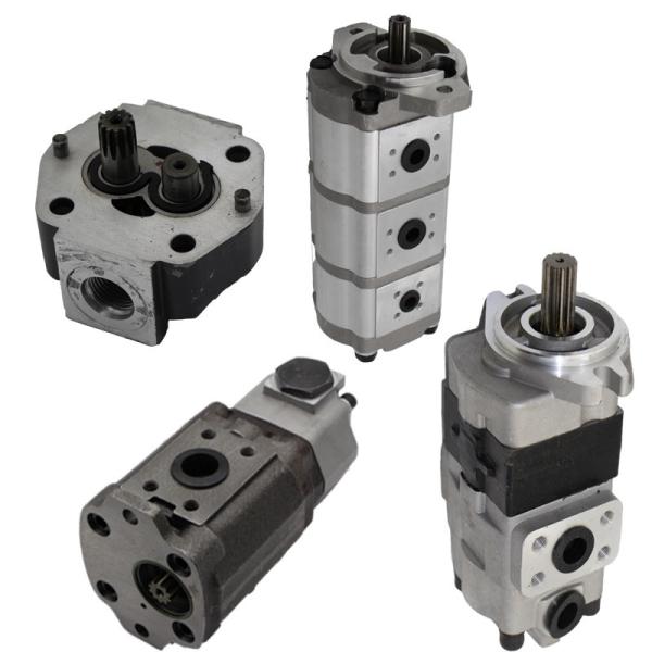 Mini Excavator Parts Hydraulic Gear Pump TB175 YC13 ZAX60 ZAX70 Hydraulics Pump