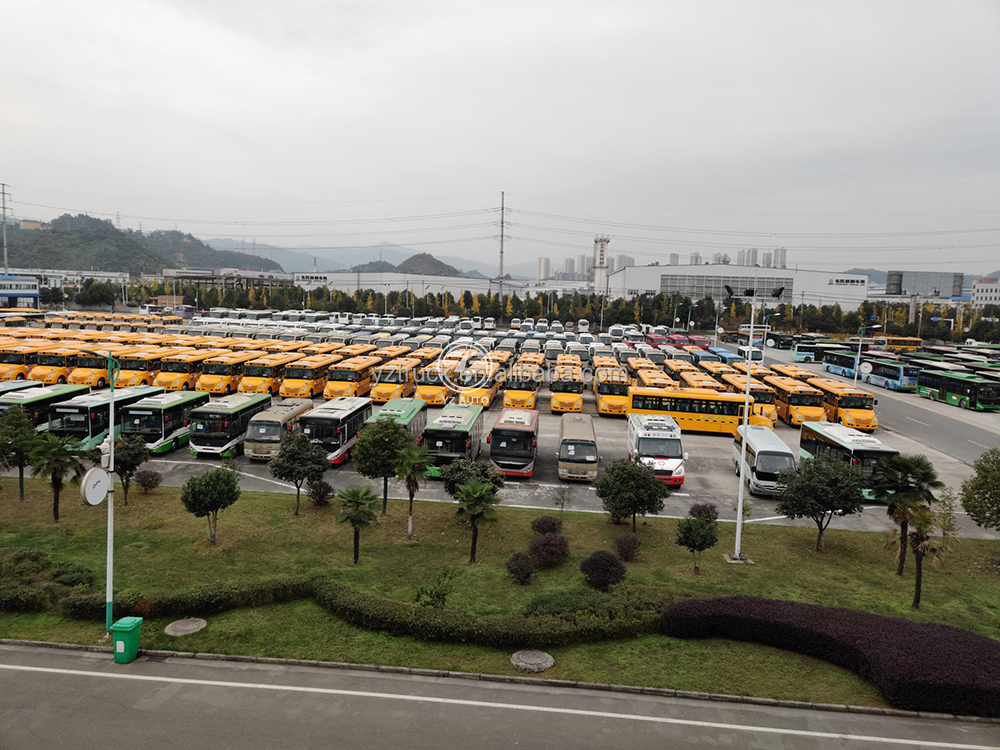 10-19 Seat LHD/RHD Drive Wheel Diesel Passenger Bus with Customer's Requirement
