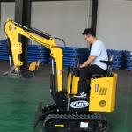 Small Excavation Equipment 1000kg Mini Hydraulic Excavator Earth Moving