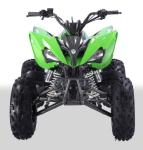 223mL Capacity 250cc Atv Quad