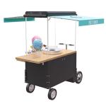 DC12V R134a Stainless Steel 125L 500KG Bike Food Cart