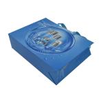 Glossy Luxury Shopping Paper Bag Boutique Packaging 190gsm Anti Scratch For