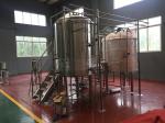 Small Capacity Beer Brewing System 10Hl Fermentation Tanks Stainless Steel