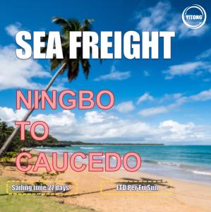 Quality 27 Days Sea Freight Shipping Agency From Ningbo To Caucedo Dominican Republic wholesale