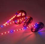 5050 SMD Waterproof Indoor Plant Grow Lights
